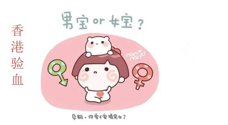 香港驗血女孩,復檢是男孩是不可能的