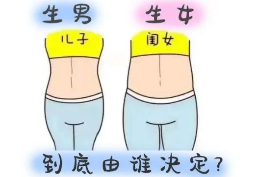 生男生女誰決定，受到哪些因素影響呢?
