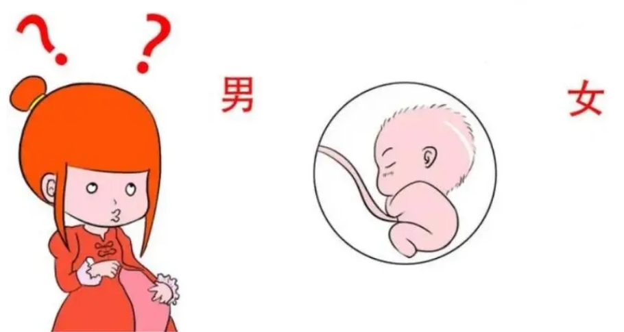 微信截圖_20240312112333.png