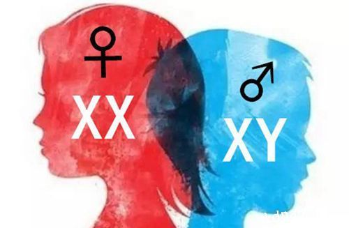 查Y染色體就能知道懷的是男寶還是女寶？