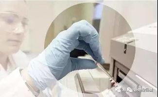 香港驗血北京媽媽(兒童用青霉素類藥有哪些 ) 