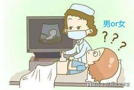 香港驗血女孩還翻盤嗎(去香港驗血是男孩,有翻女孩的寶媽嗎