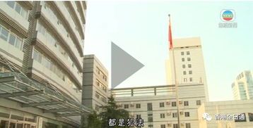 香港驗血是騙局新聞嗎(央視香港驗性別騙局,香港驗血是不是