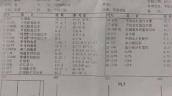 香港驗(yàn)血男孩胎停概率高嗎(吃什么才可以生男孩兒 ) 