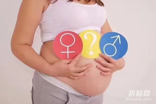 香港驗血查男女曝光(去香港驗血知男女多久才能驗出) 