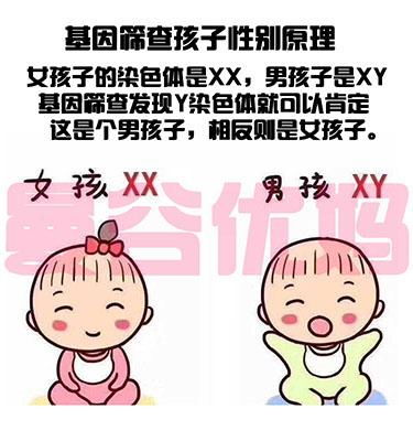 試管嬰兒去香港驗血可以嗎(為什么感覺現在多數人生的男嬰,