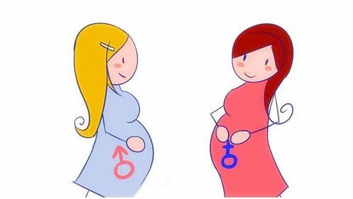 香港驗血哪里可以驗到男女(香港什么醫(yī)院可以驗血生男生女,