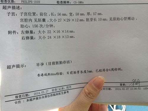 香港男女驗血中介機構(gòu)(香港裕博生物科技有限公司驗血準(zhǔn)確)