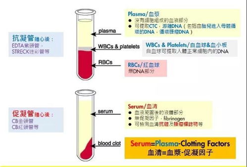 香港驗血卓信化驗所合法嗎(香港四大權威化驗所是哪四家 ) 