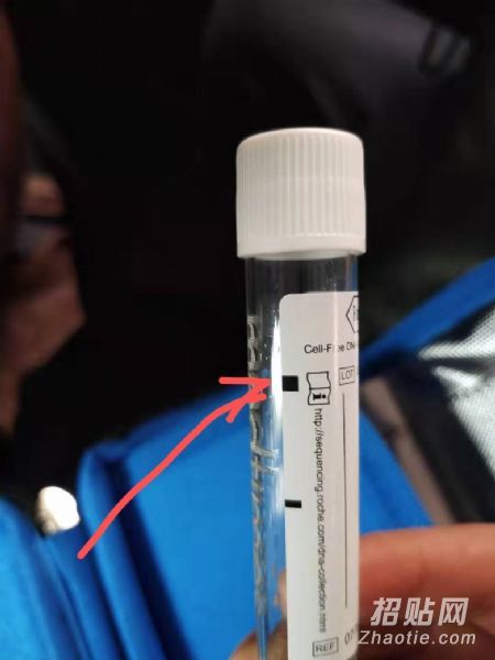 香港驗血70個ve(花胎有科學依據嗎) 