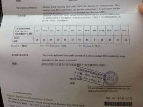 生化五個月后懷孕香港驗血準嗎(香港驗血生出來有不準的嗎 