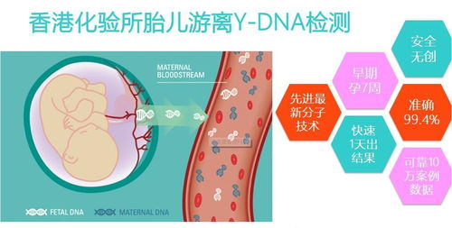 香港驗血了還需要b超的簡單介紹(香港驗血準還是B超準 ) 