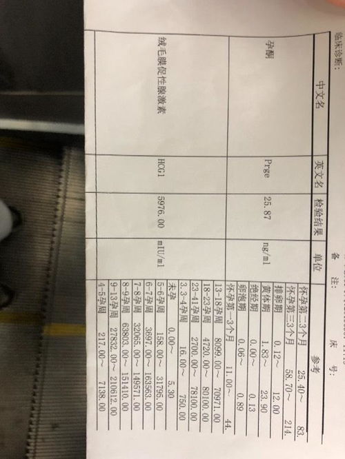 香港醫院性別驗血報告多久出來(香港驗血生男生女可靠嗎 ) 