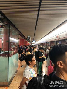 香港驗血騙局揭秘(有沒有寶媽,去香港驗血,驗到是男孩但生) 