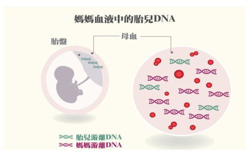 香港染色體驗(yàn)血哪家好(香港裕博生物科技有限公司驗(yàn)血準(zhǔn)確)