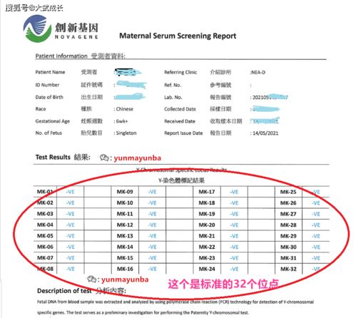 香港驗血理想基因檢測(香港理想基因就香港有嗎) 