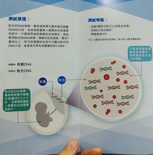 深圳抽血香港驗血(2018香港驗血實用攻略) 