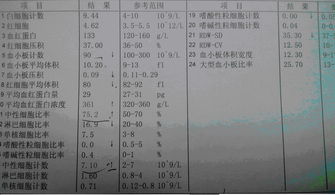 香港驗血查男女電子報告單多少錢(香港驗血流程 懷孕多久可