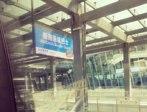 香港驗血男女注意事項(香港驗血驗男孩需要空腹嗎 ) 