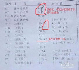 香港驗血化驗單y(香港驗血要什么條件) 