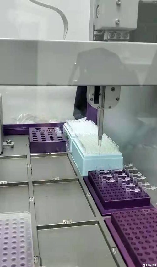 香港驗血的真實例子(懷的雙胞胎,去香港戴學良醫生診所驗血