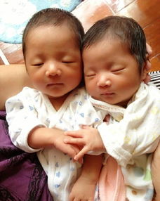 香港驗血雙胞胎女兒(懷孕7周hcg6萬多是男是女) 