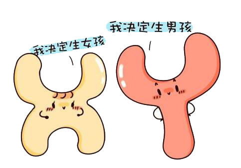 香港驗血多久結果出來(預約香港醫院驗血要等很長時間嗎 ) 
