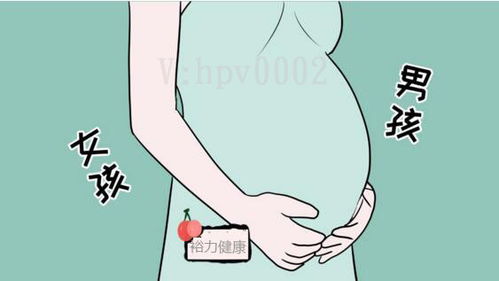 香港基因時代驗血(香港四大權威驗血驗頭發化驗所是哪幾家 