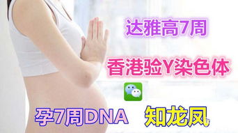 香港驗血女孩半年內(半年內生了女兒又懷孕去香港驗血會影)