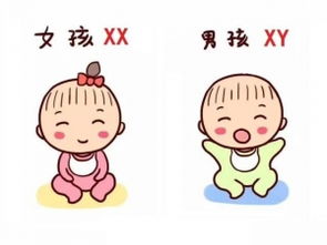 香港驗血男女孕六周(六周能做香港驗血嗎) 