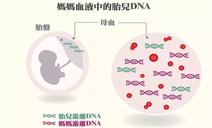 唐氏篩檢查男女辦法準嗎?